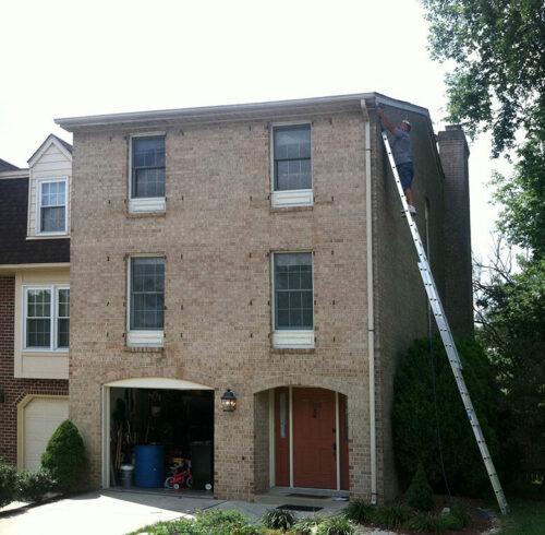 Expert Bat Damage Repair